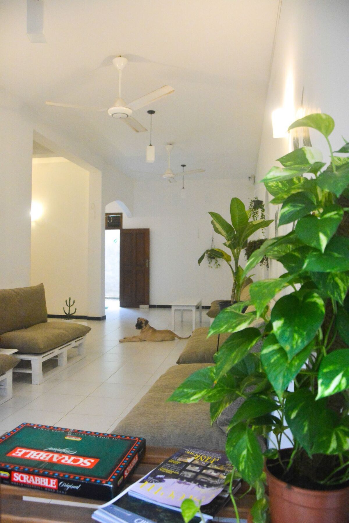 Bed & Bicycle Hostel Dehiwala-Mount Lavinia Exterior foto